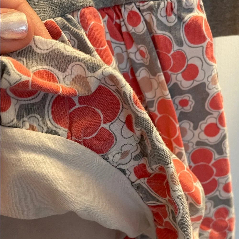 Tea Collection Gray and Red Floral Kids Dress
